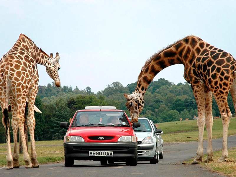 Camping Municipal Pissevaches 